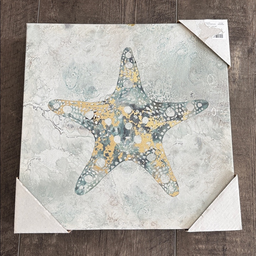 Starfish picture Canvas Wall Art - Picture 9 of 9
